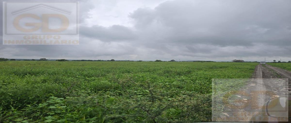Foto de terreno habitacional en venta en  , gonzález [ejido], gonzález, tamaulipas, 0 No. 05